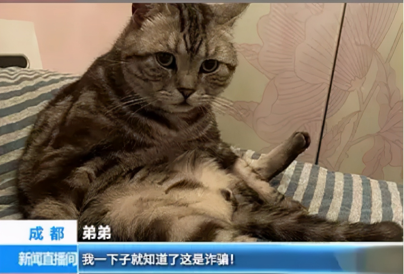 喜欢上了房东怎么办,喜欢上了房东该怎么办