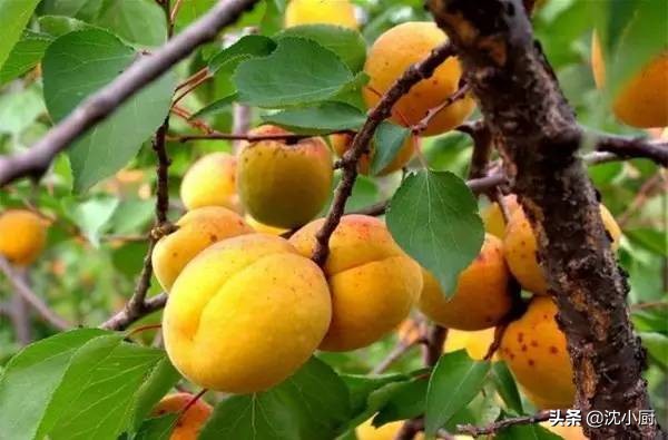 生活在赤峰为啥瘦不下来？这就是变胖的原因，没有之一