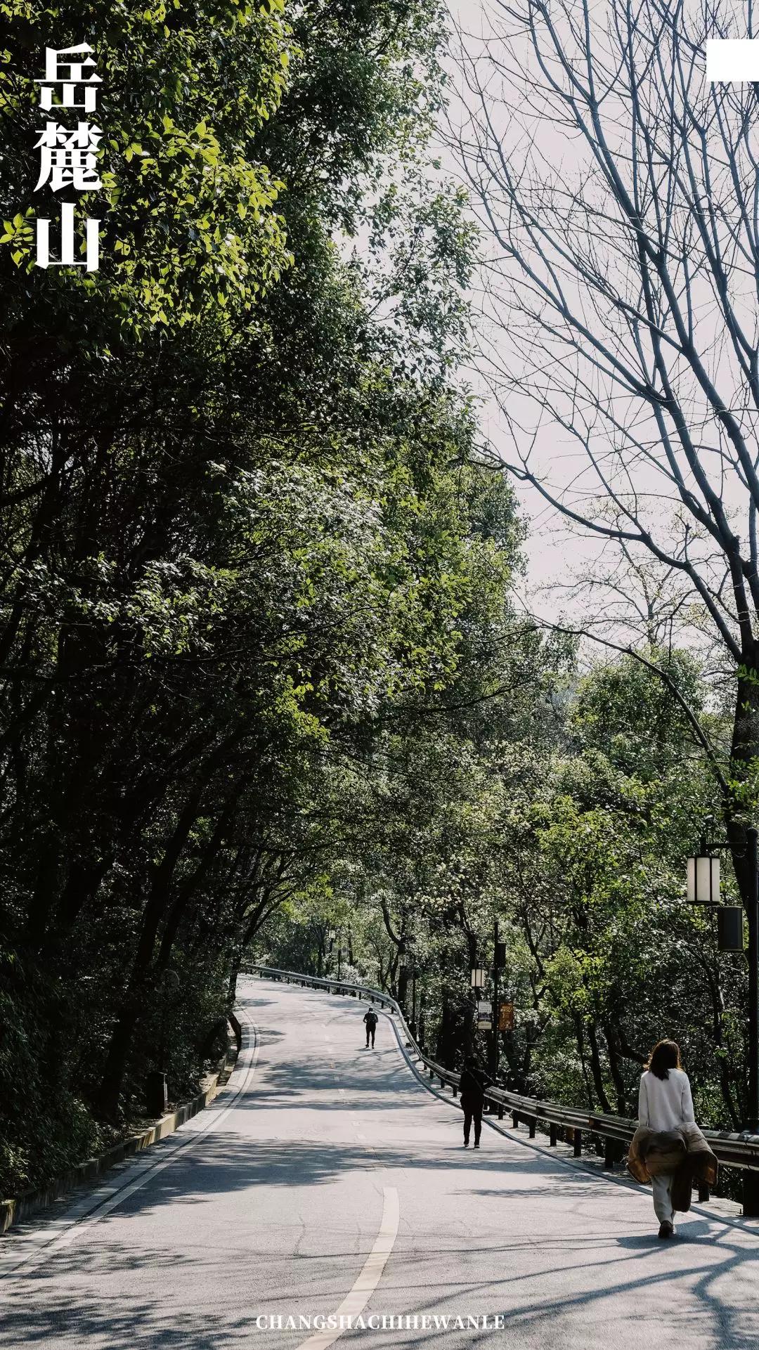 带你看看真正的长沙,带你感受长沙有多震撼