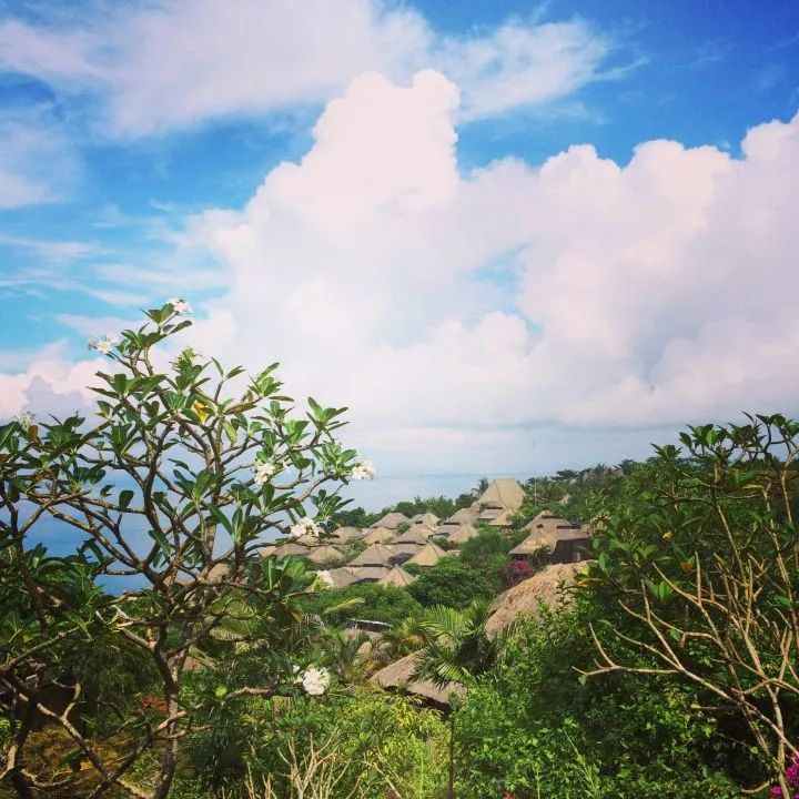 亲测巴厘岛|是时候聊聊它的正面目