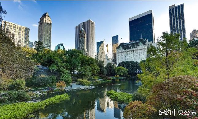 复仇者联盟花园,复仇者联盟集体战斗