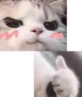 零基础赚钱小技巧视频,如何靠文字赚钱