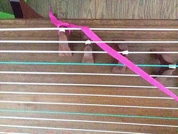 练琴声音很大扰民怎么办,如何有效练琴古筝