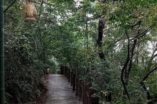 南京人少景美的免费公园,太全了全国旅游简图