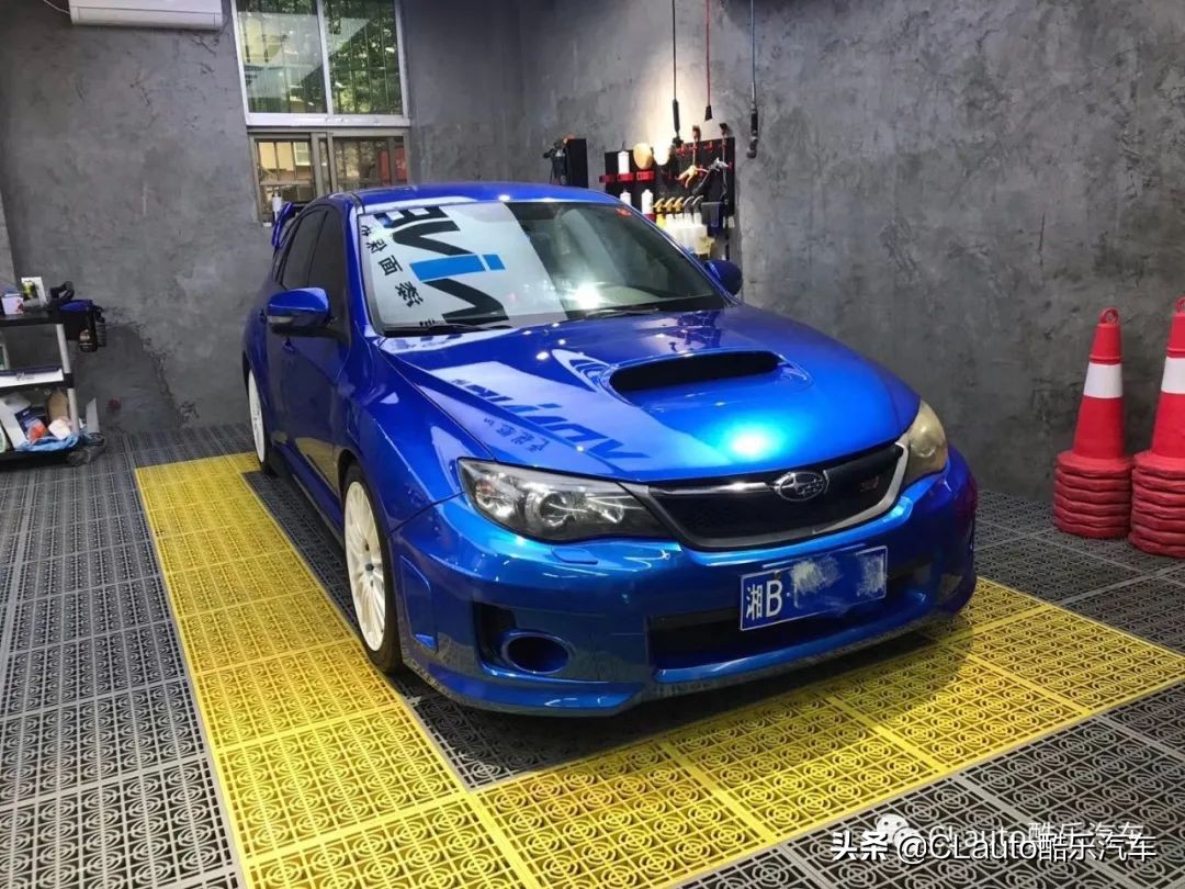 ​近乎残疾，不忍直视|流浪豹STI收养记Vol.01