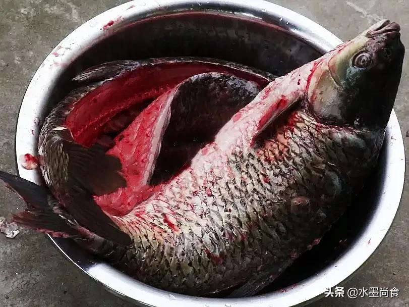 腌腊鱼要不要去除鱼鳞,腌制腊鱼的正确方法