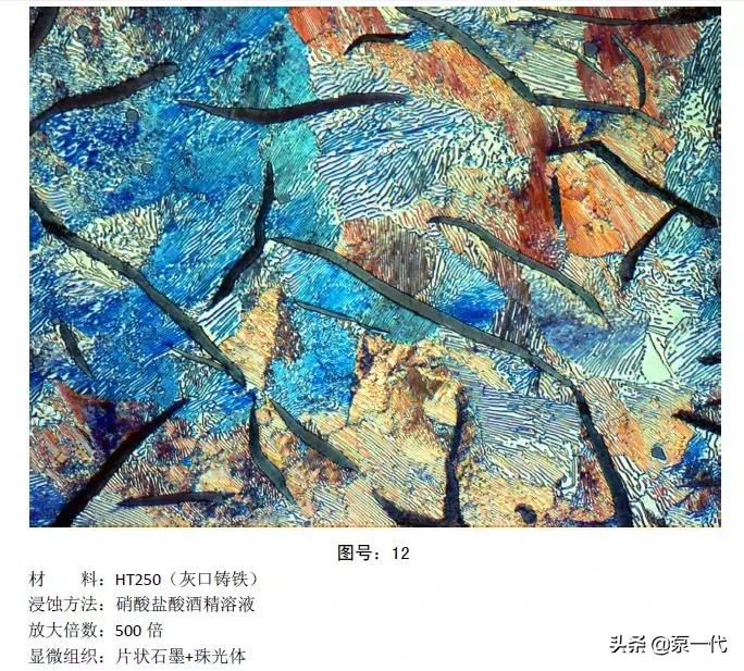 马氏体、奥氏体、珠光体，20种材料彩色金相，带你轻松识别