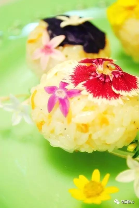 可以食用的花可制作的美食,100种可食用花的做法