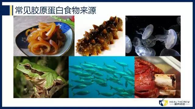 胶原蛋白肽带来的安全感,胶原蛋白肽四大特点是什么