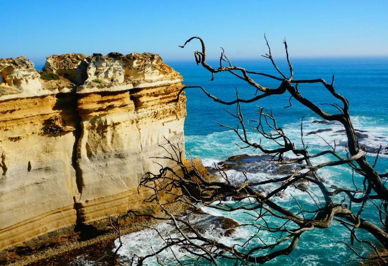 深圳旅行社港澳旅游攻略,深圳实惠旅行社三日游