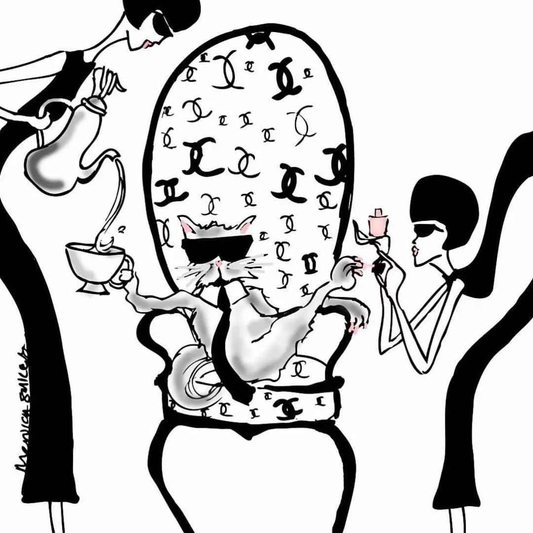 21亿遗产的猫现在怎么样了,失踪多年的猫终于回来了