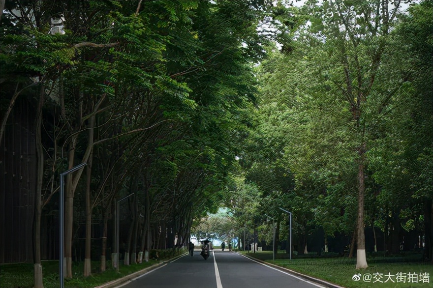 为了绿牌提车的人,为绿码奋斗