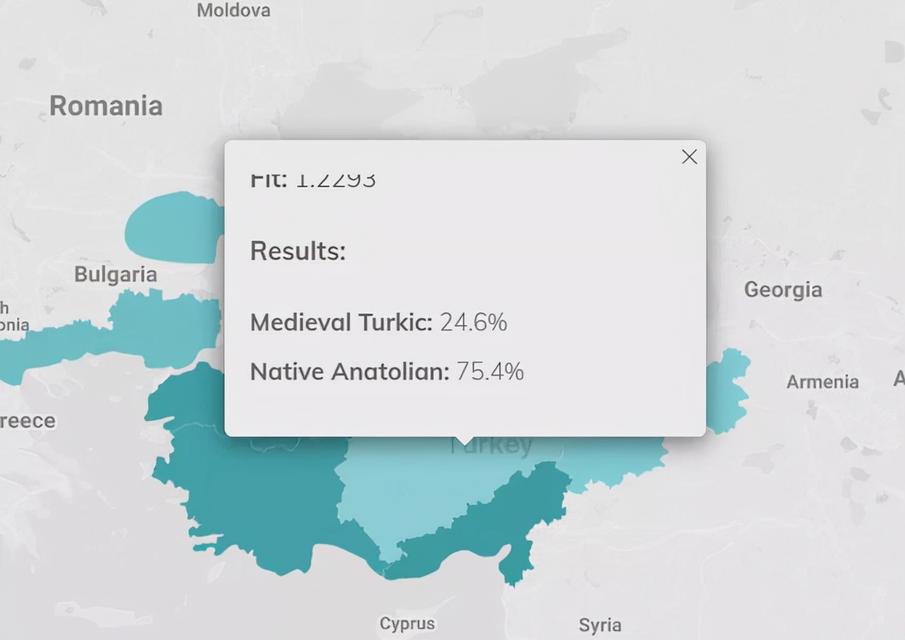 血统纯正？老土耳其人儿就好这一口儿