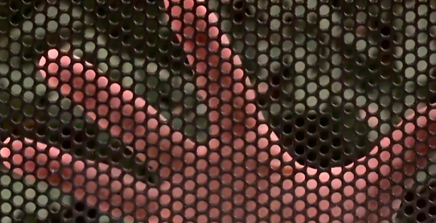 国外丧尸爆发应对措施,丧尸来了怎么办怎么抵御