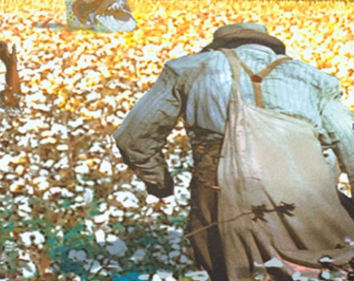 乌合麒麟发布新作血棉行动,乌合麒麟怒揭血棉真相