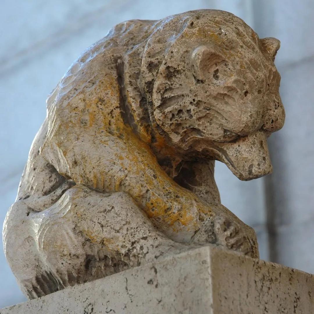 这10所美国大学最受申请者青睐,美国十所著名大学