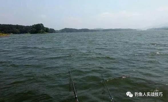 夏天钓鱼风向对照表,夏季什么风适合钓鱼