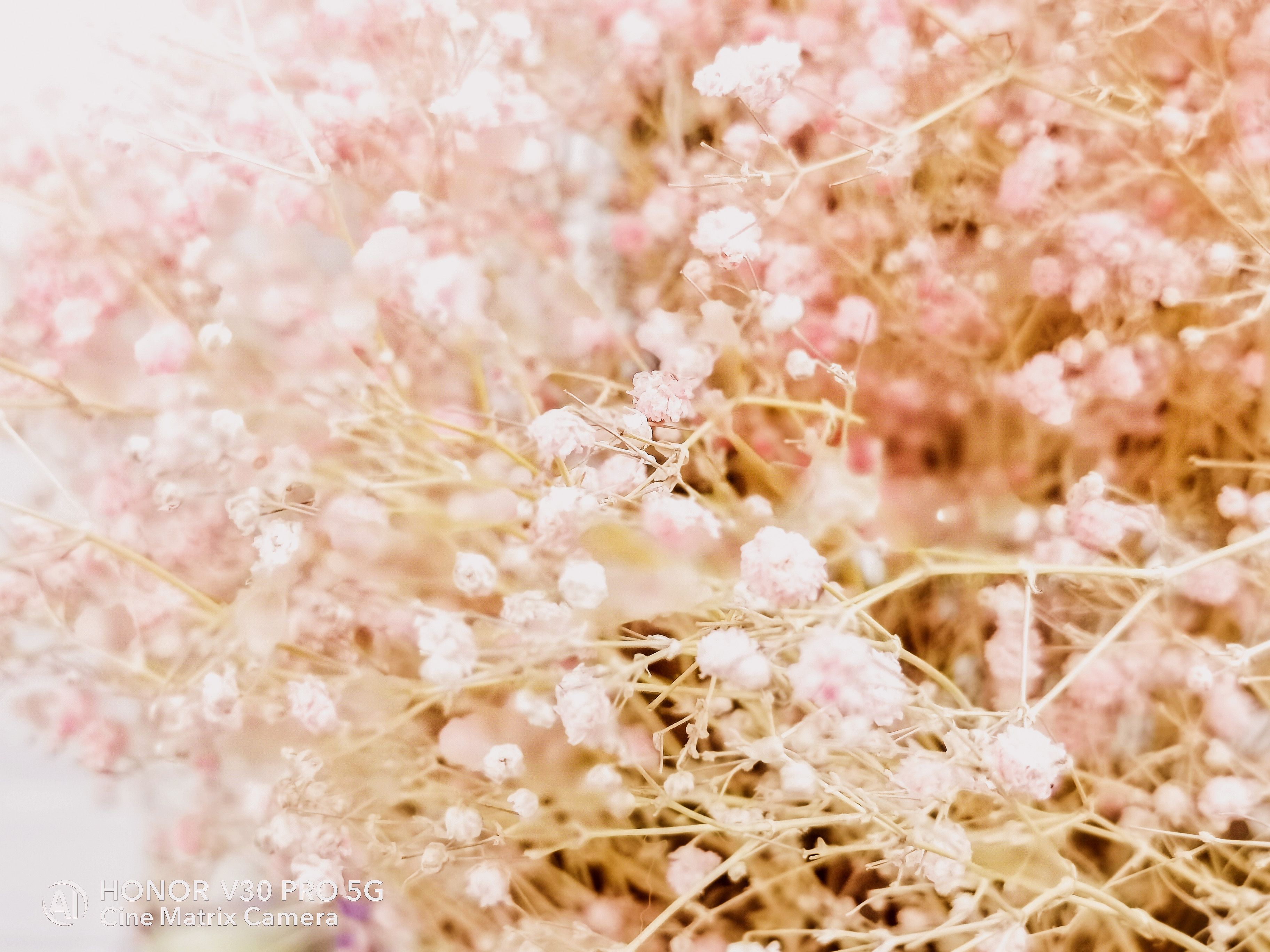 荣耀v30pro相机各种最佳效果设置,荣耀v30pro和荣耀30pro对比拍照