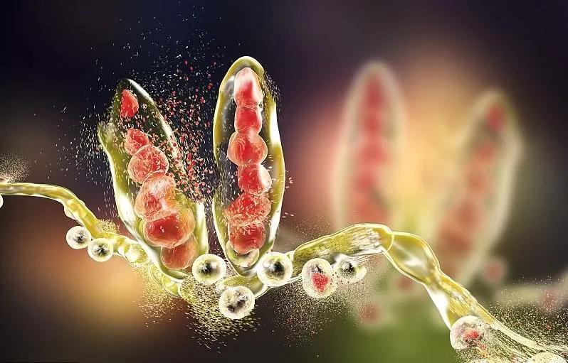 肤研堂银屑病,黄骅哪里治疗银屑病好