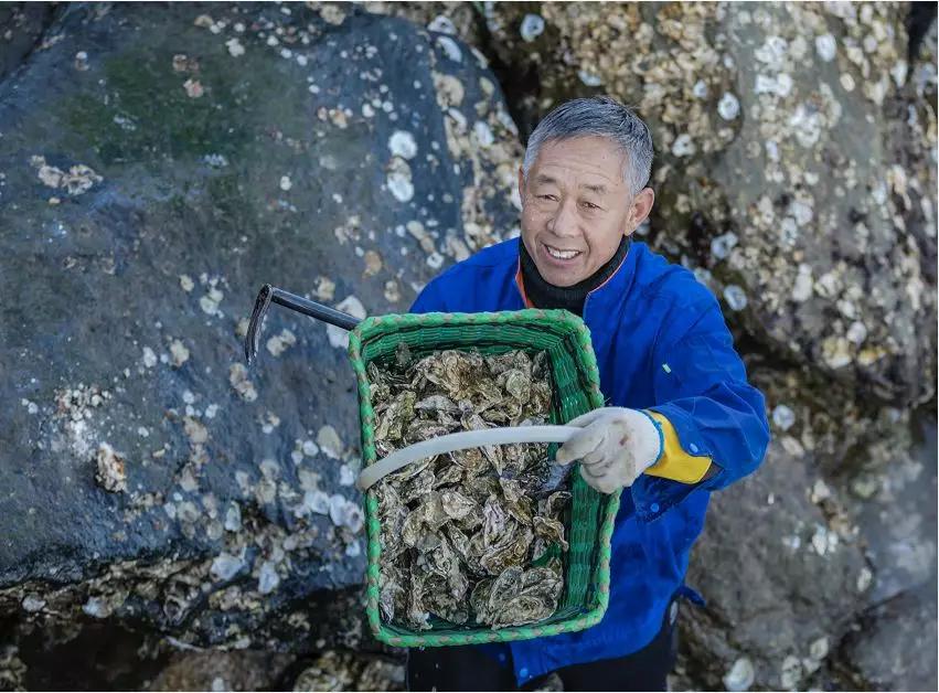 冷水海蛎子,荣成哪里能买到新鲜的乳山牡蛎