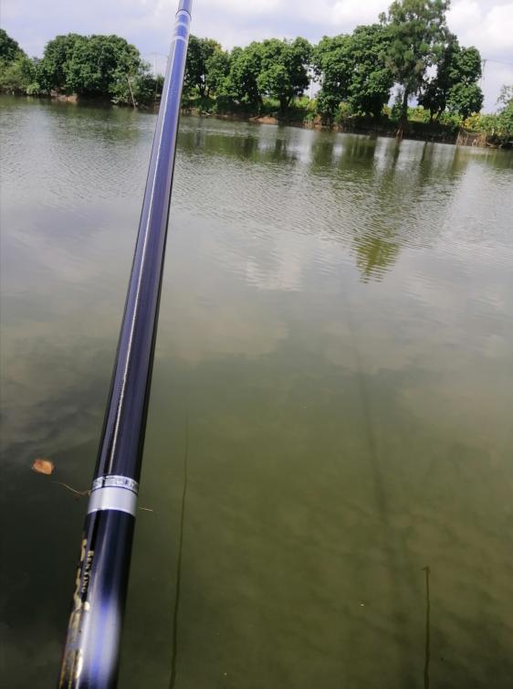 新手选鱼竿怎么选,新手怎么选鱼竿最合适