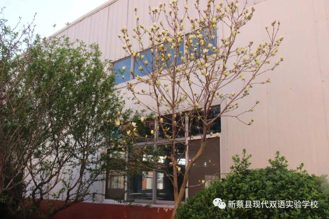 新蔡现代双语实验学校,新蔡县现代双语实验学校老照片