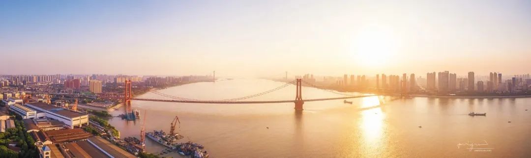 抗疫诗歌大展之十三｜在被管制的人间，梅花又悄悄开了