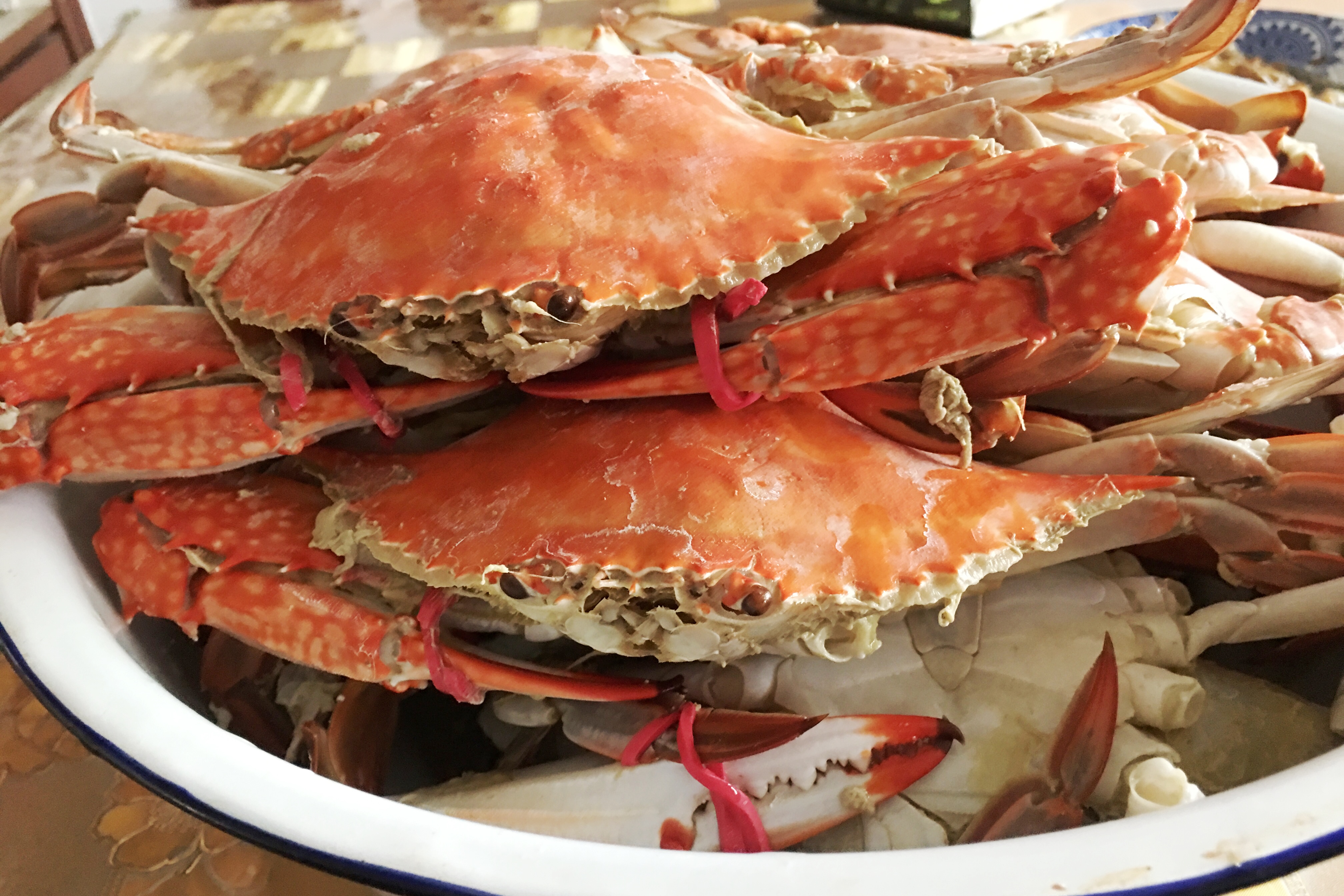 虾蟹一次吃不完怎么储存,鱼虾蟹怎么处理