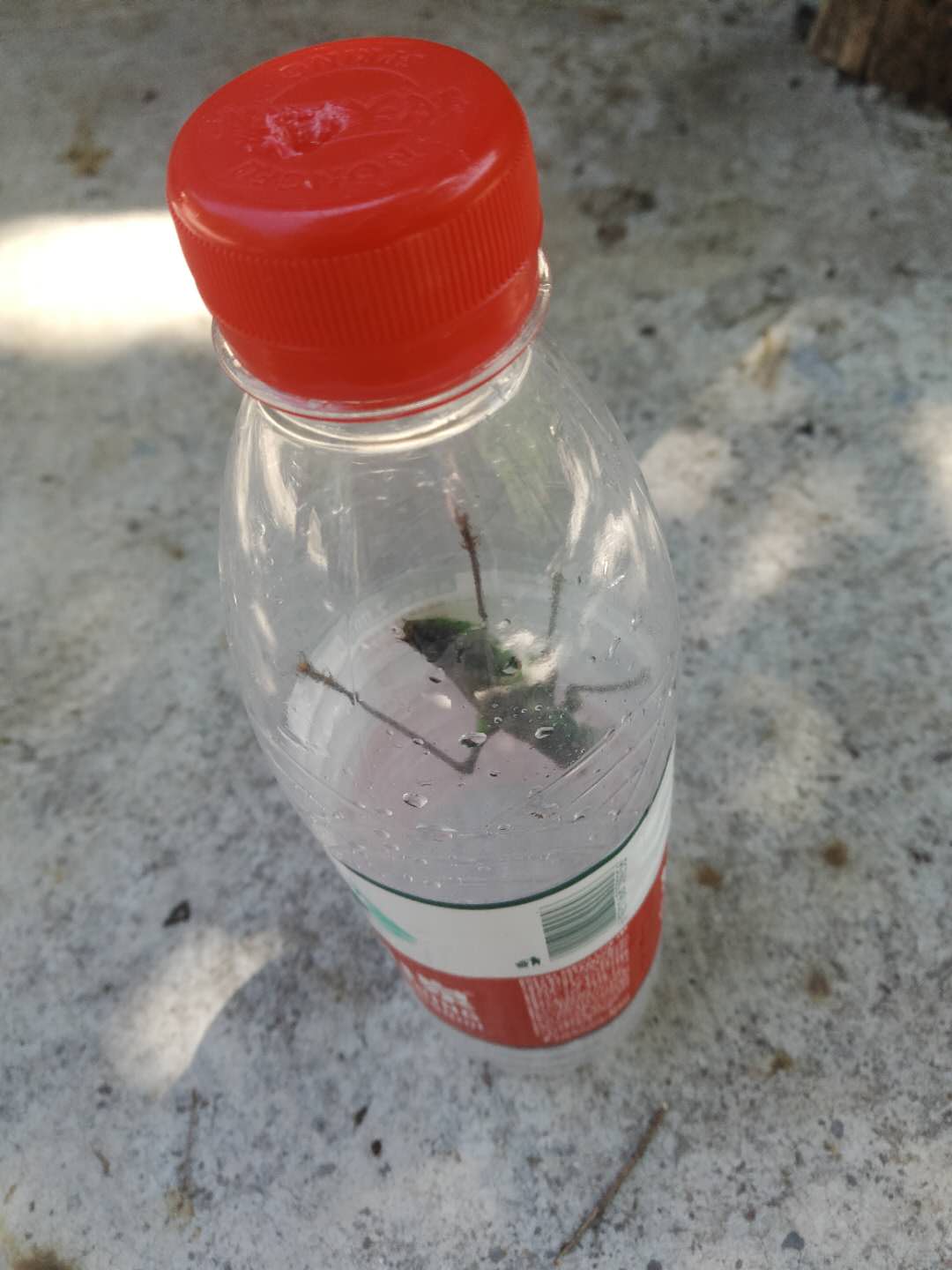 别人方便的时候捉了只蝈蝈，自己媳妇的话让已婚男人怎么办