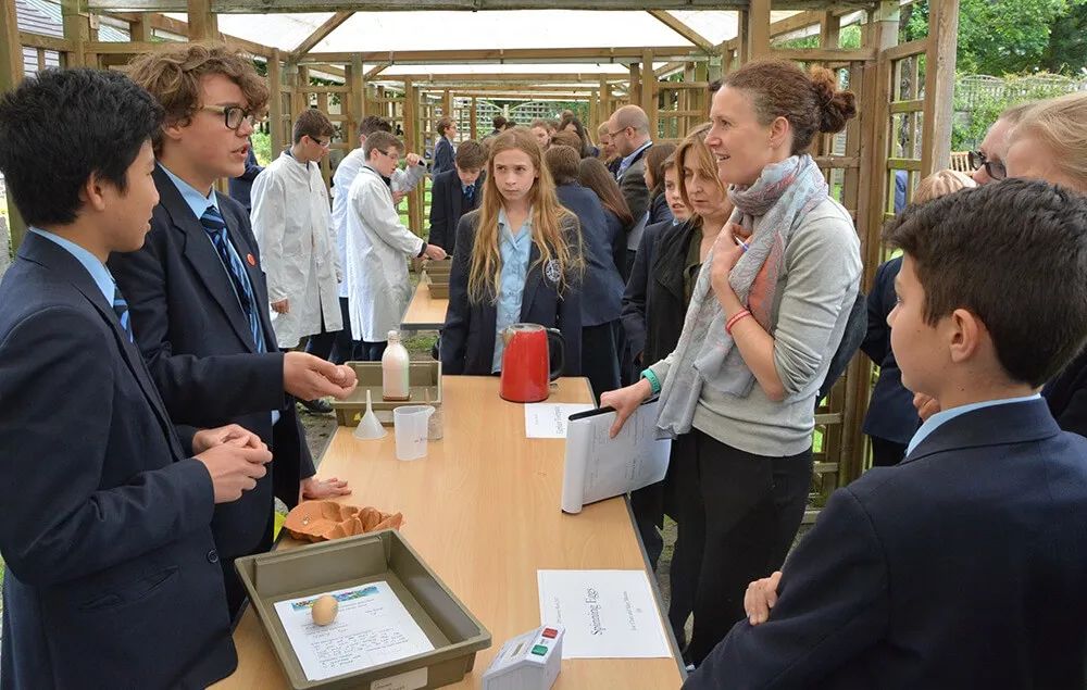 伦敦大学卡斯商学院,伦敦哈利波特学校