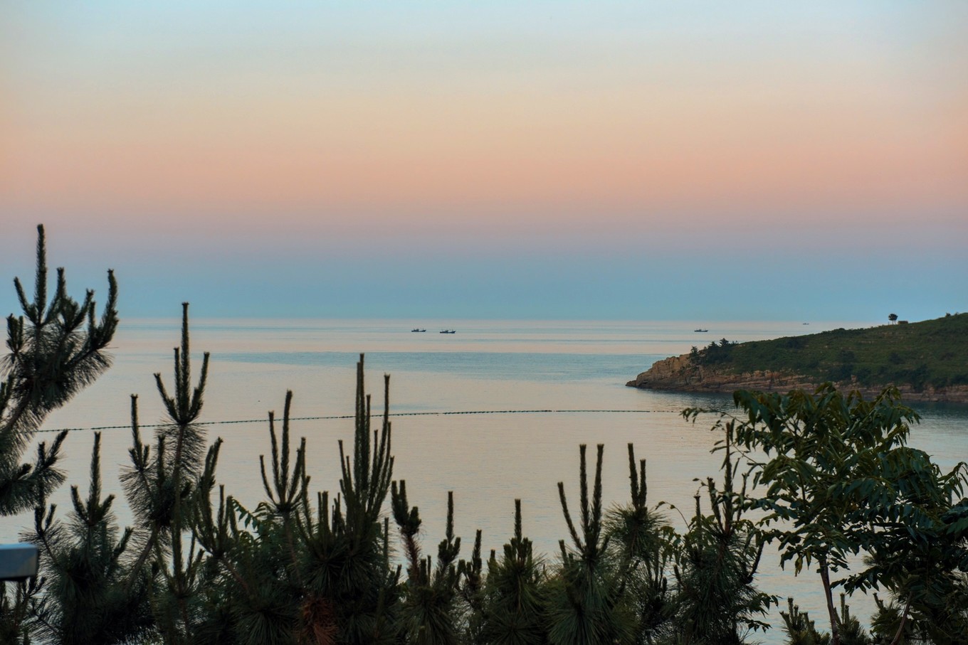 度假的袋鼠,青岛旅行的袋鼠
