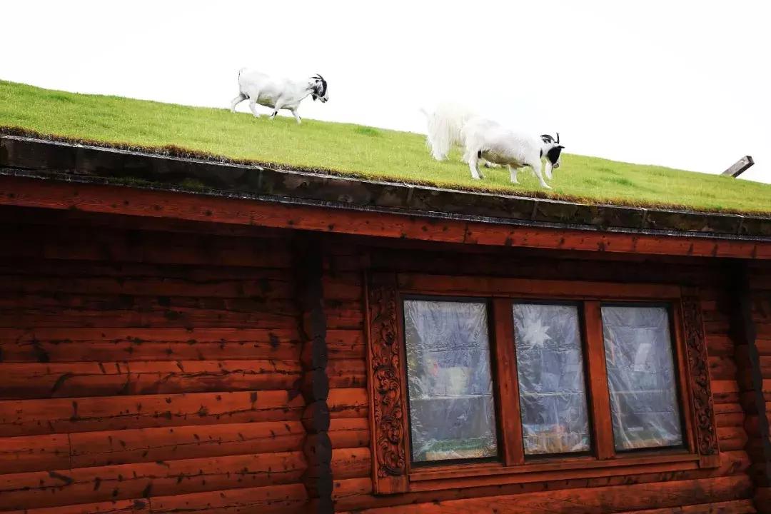 芝加哥南部旅游攻略图文,芝加哥附近旅游