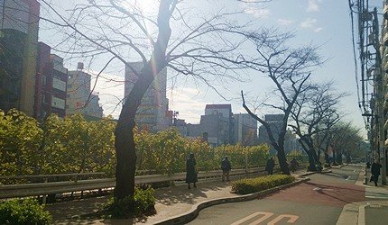 日本东京巢鸭商店街,东京巢鸭街区老照片