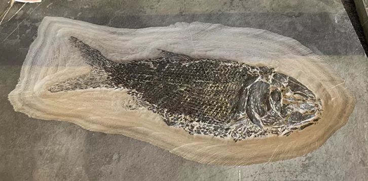 北京通州运河温泉水世界,北京运河苑温泉度假村攻略