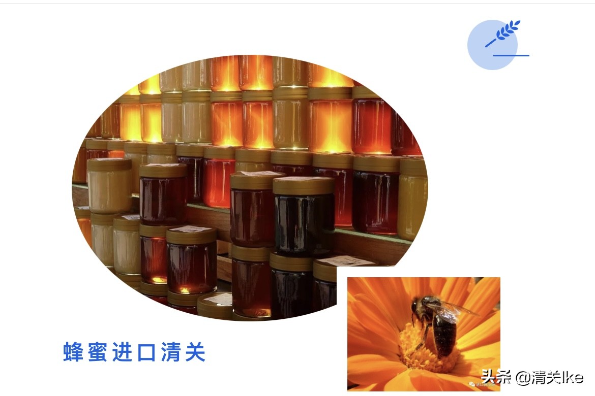 蜂蜜进口报关代理商,蜂蜜进口报关报检公司推荐