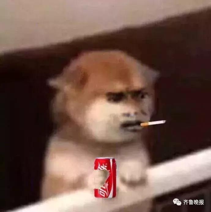 外国代购店主逃税300万判多少年,代购漏税法律怎么判