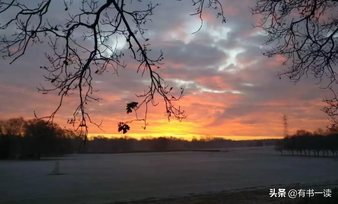 王国维人间词话最长的一篇诗词,王国维人间词话赏析十分钟