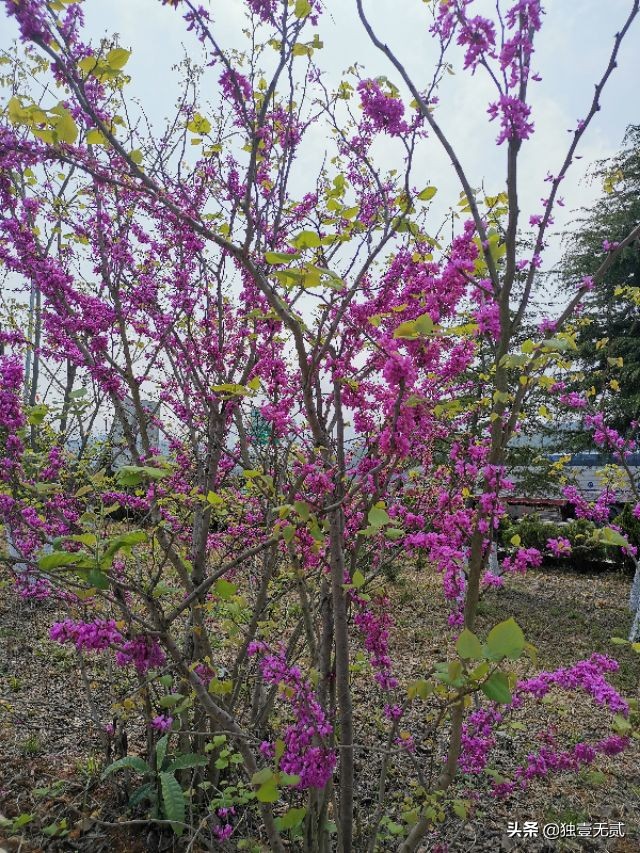 中国这几个地方的人最会做生意?