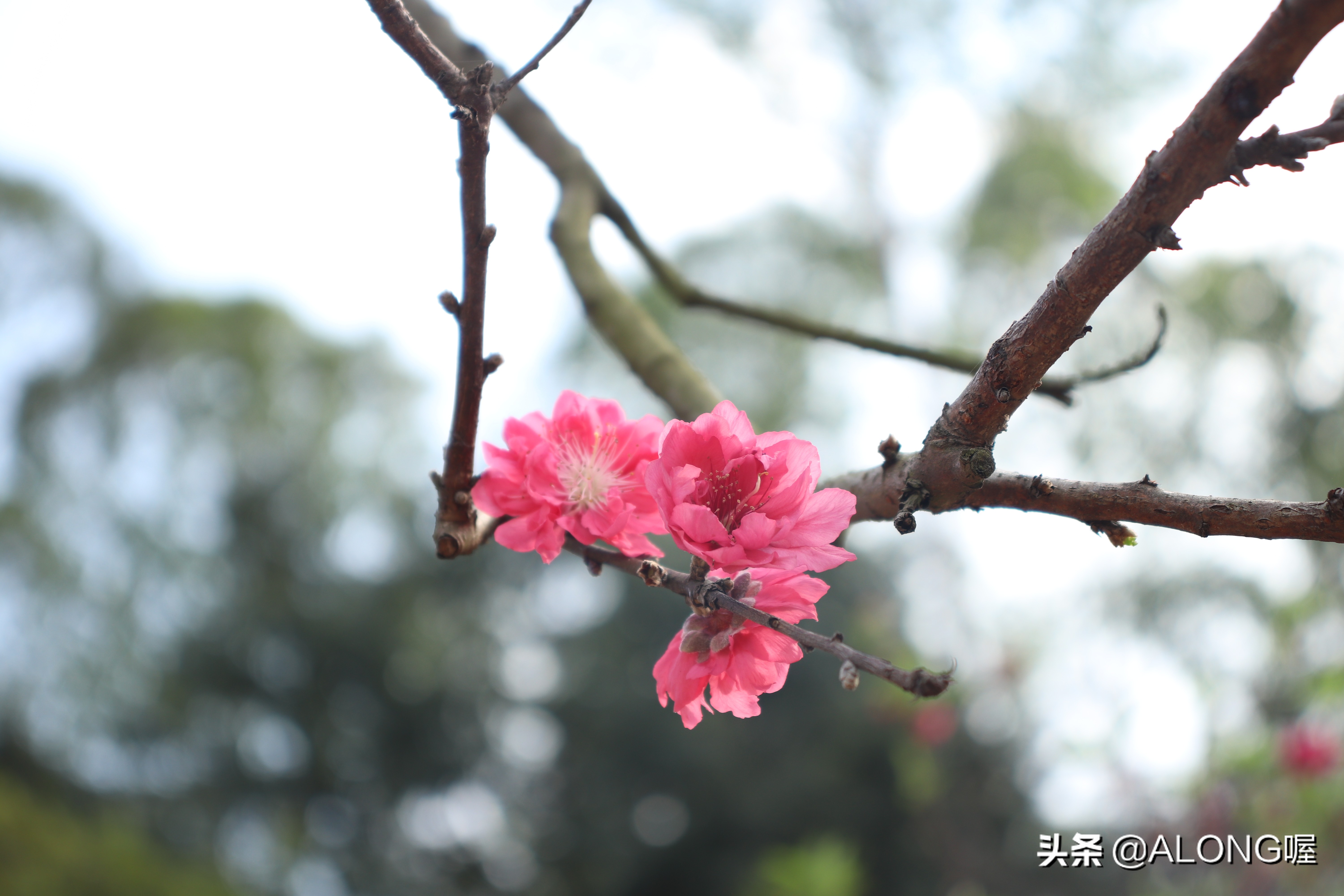 佳能77d最适合的全画幅,佳能77d摄影基础知识入门