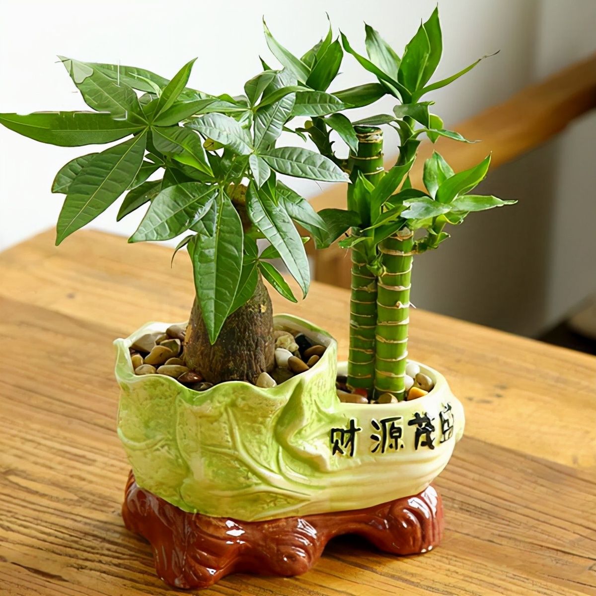 22种花耐旱耐热,天冷种花要注意什么