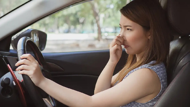 空调有异味要清洗空调系统吗,汽车空调有异味怎么清除视频教程