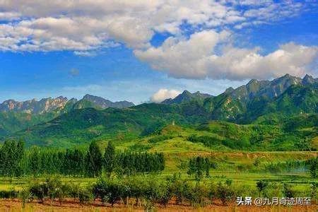 白居易在周至写出的名篇,白居易任周至县尉诗词