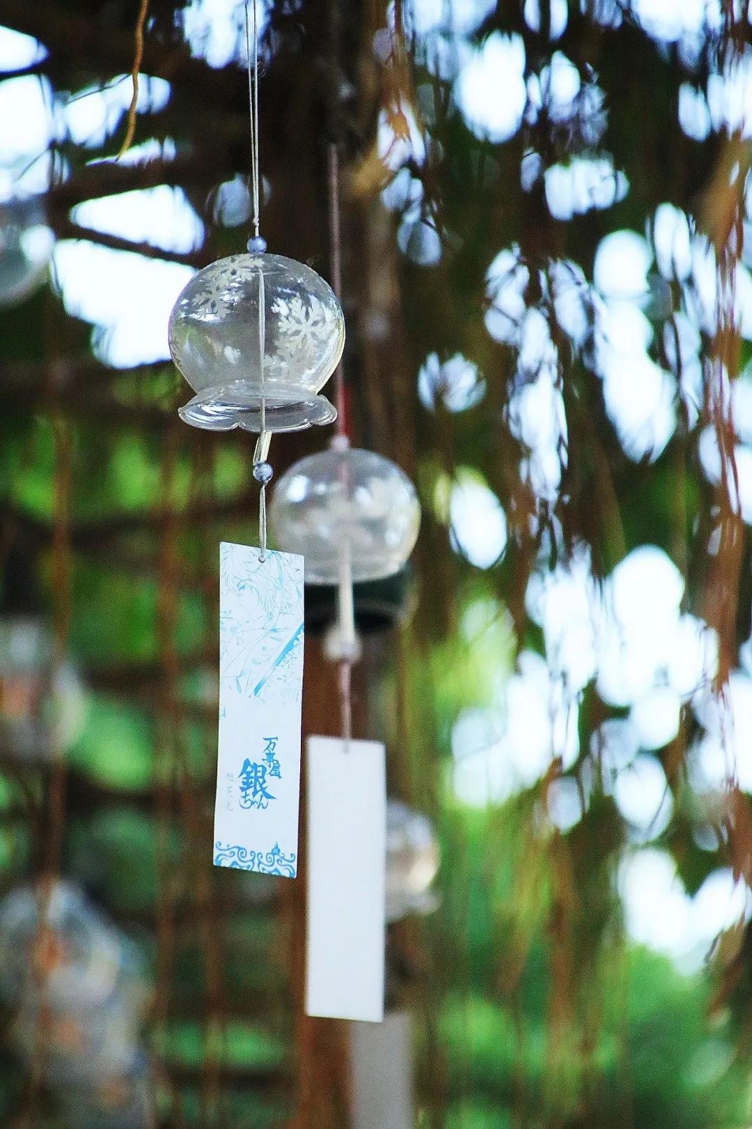 业余自由摄影师靠什么赚钱,摄影师是如何赚钱的