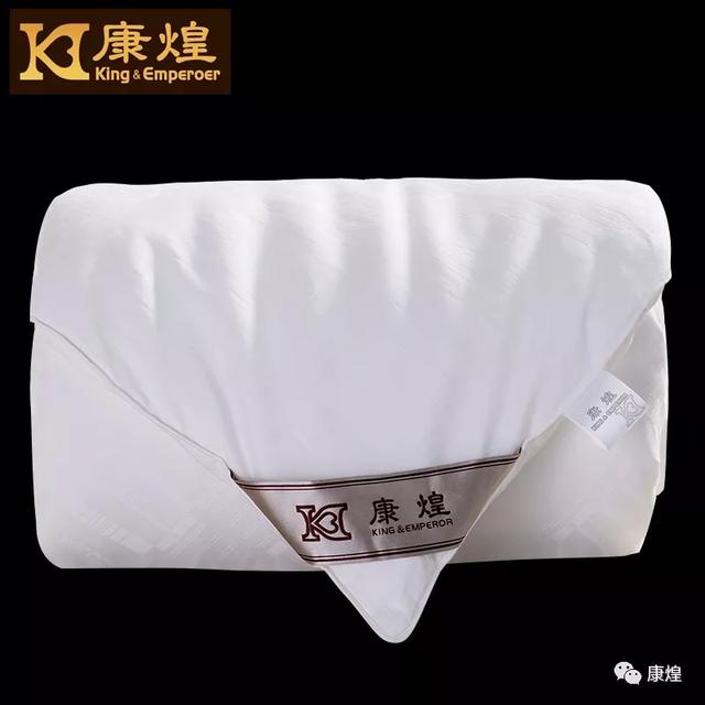蚕丝被十大品牌选哪个,钱皇蚕丝被是十大品牌吗