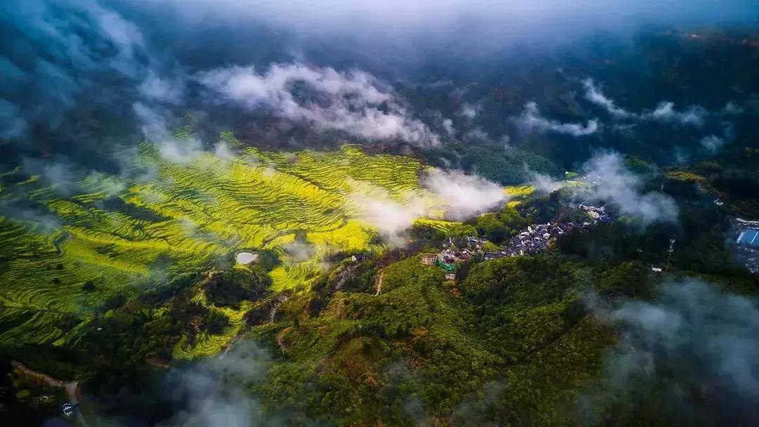 广州周末踏青好去处人少的地方,适合清明踏青的地方广州有哪些