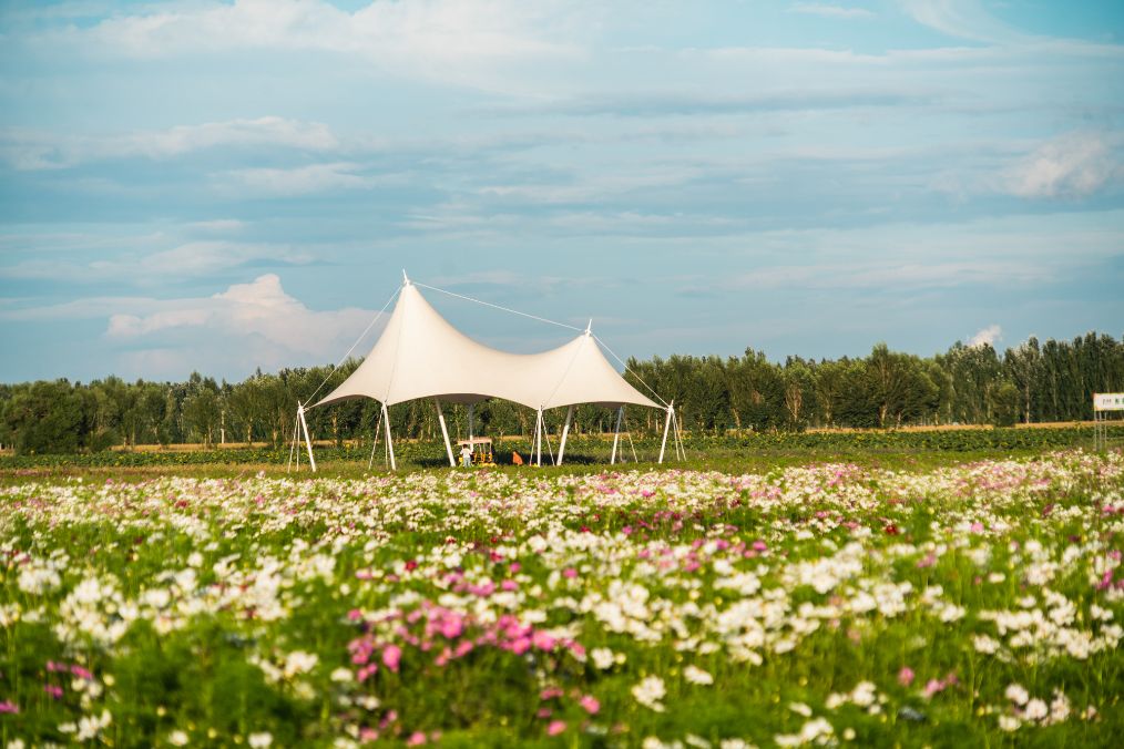 她是滔滔千里黄河的宠儿,阴山之下、河套之上的掌上明珠