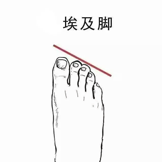 最好看脚型埃及脚,埃及脚希腊脚哪种脚型好