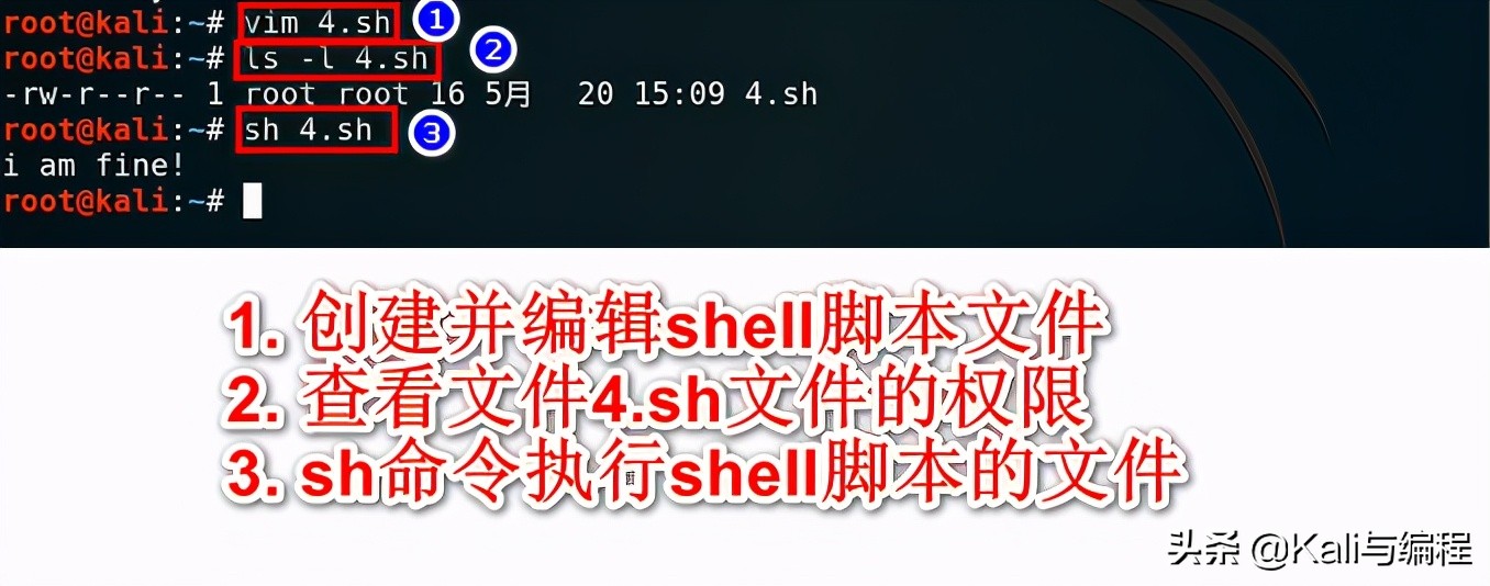 linux创建shell脚本,shell脚本基本知识博客