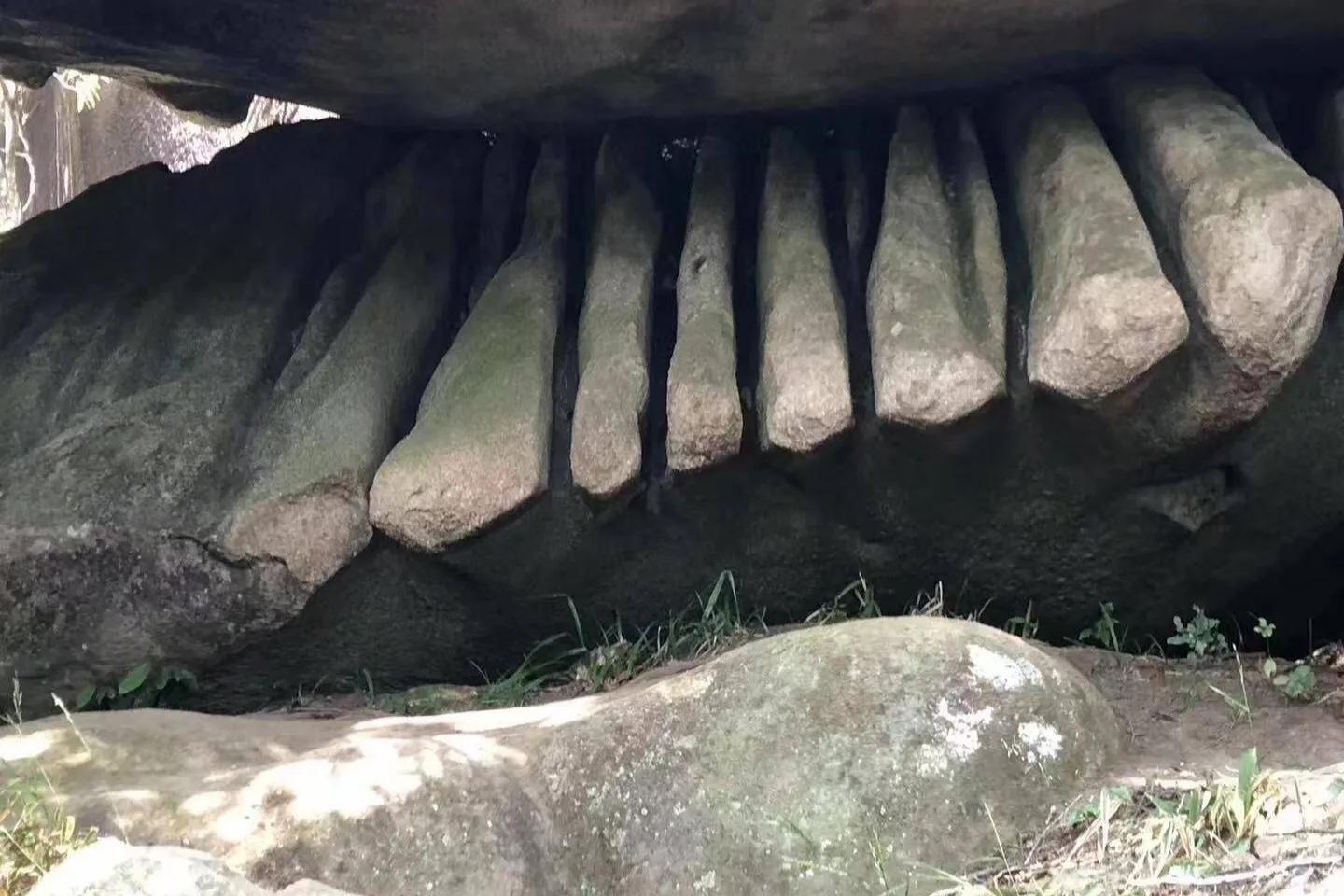 在十八股头山寻找“十二股头”