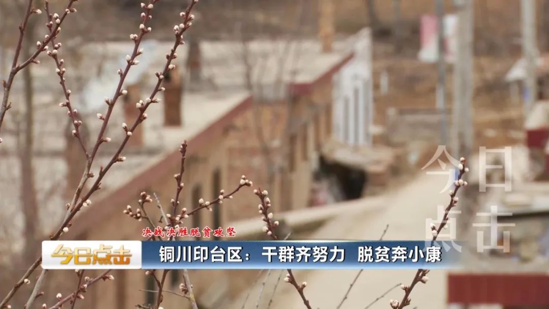 铜川印台脱贫攻坚,铜川印台区脱贫户